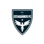 ESTAGIÁRIOS FC