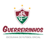 GUERREIRINHOS  CESG-SUB-13