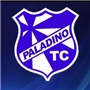 PALADINO TENIS CLUBE SUB-9 OURO