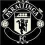 PARAITINGA FC