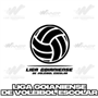 LIGA GOIANIENSE DE VOLEIBOL ESCOLAR