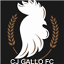 GALLO FC