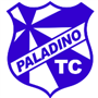 PALADINO TÊNIS CLUBE - PRATA-SUB-11