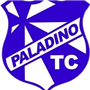 PALADINO TENIS CLUBE BACKUP OFICIAL