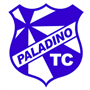 PALADINO TÊNIS CLUBE-SUB-11