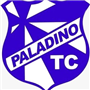PALADINO TENIS CLUBE SUB 9 PRATA